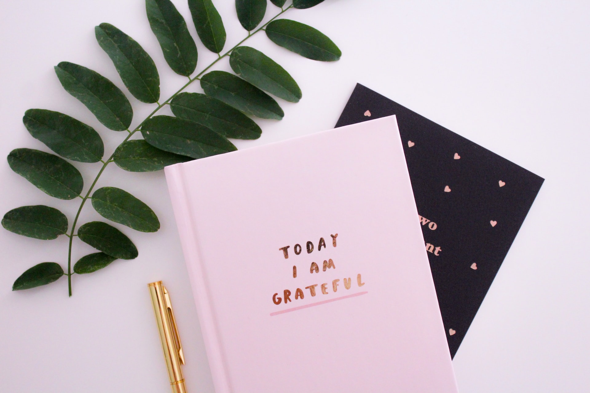 A journal that says "today I am grateful" on the front