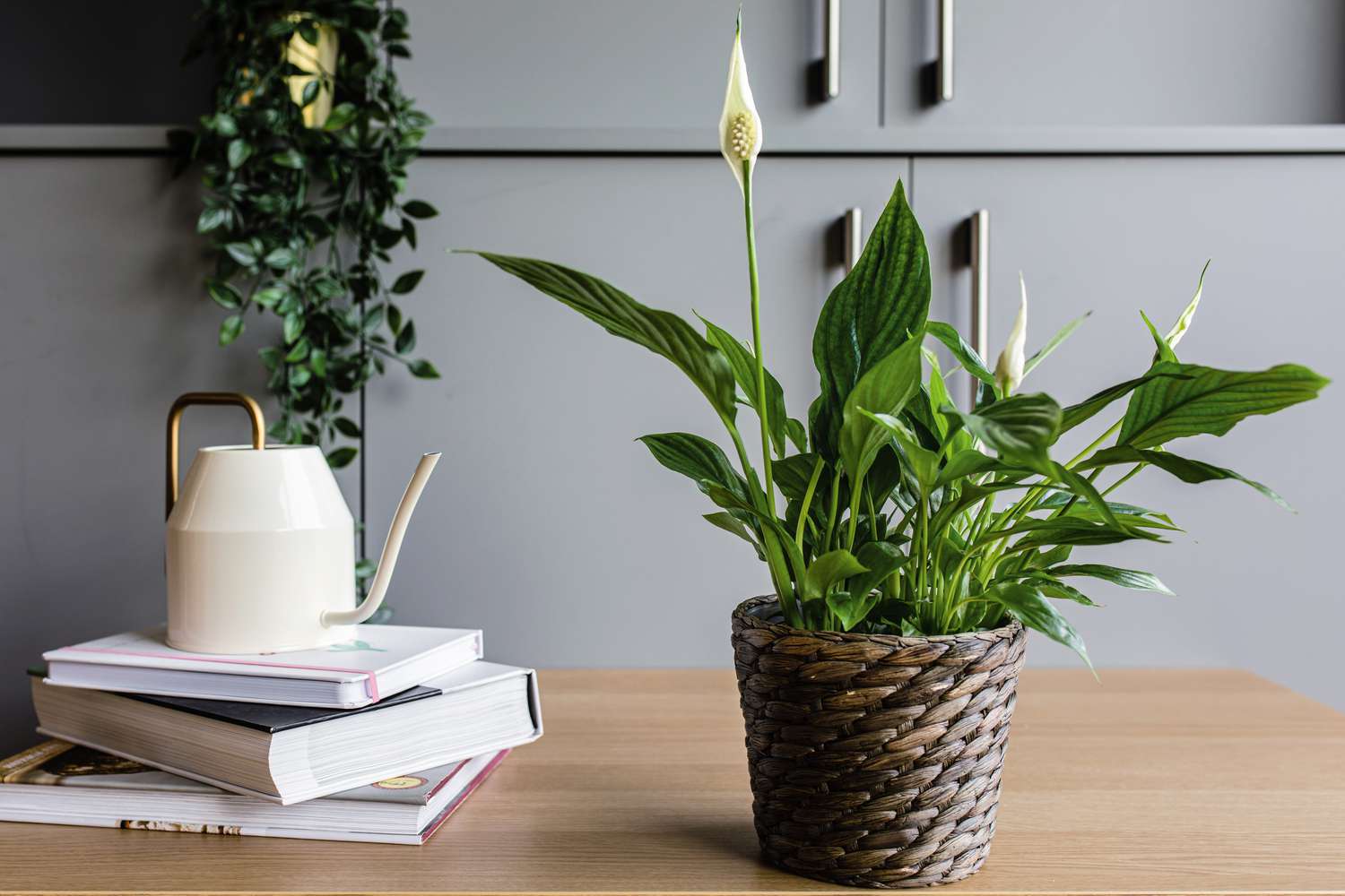 peace lily plant on a desk